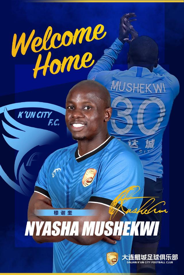 新疆天山雪, img, 前身甲B联 新疆天山雪, img, 前身甲B联